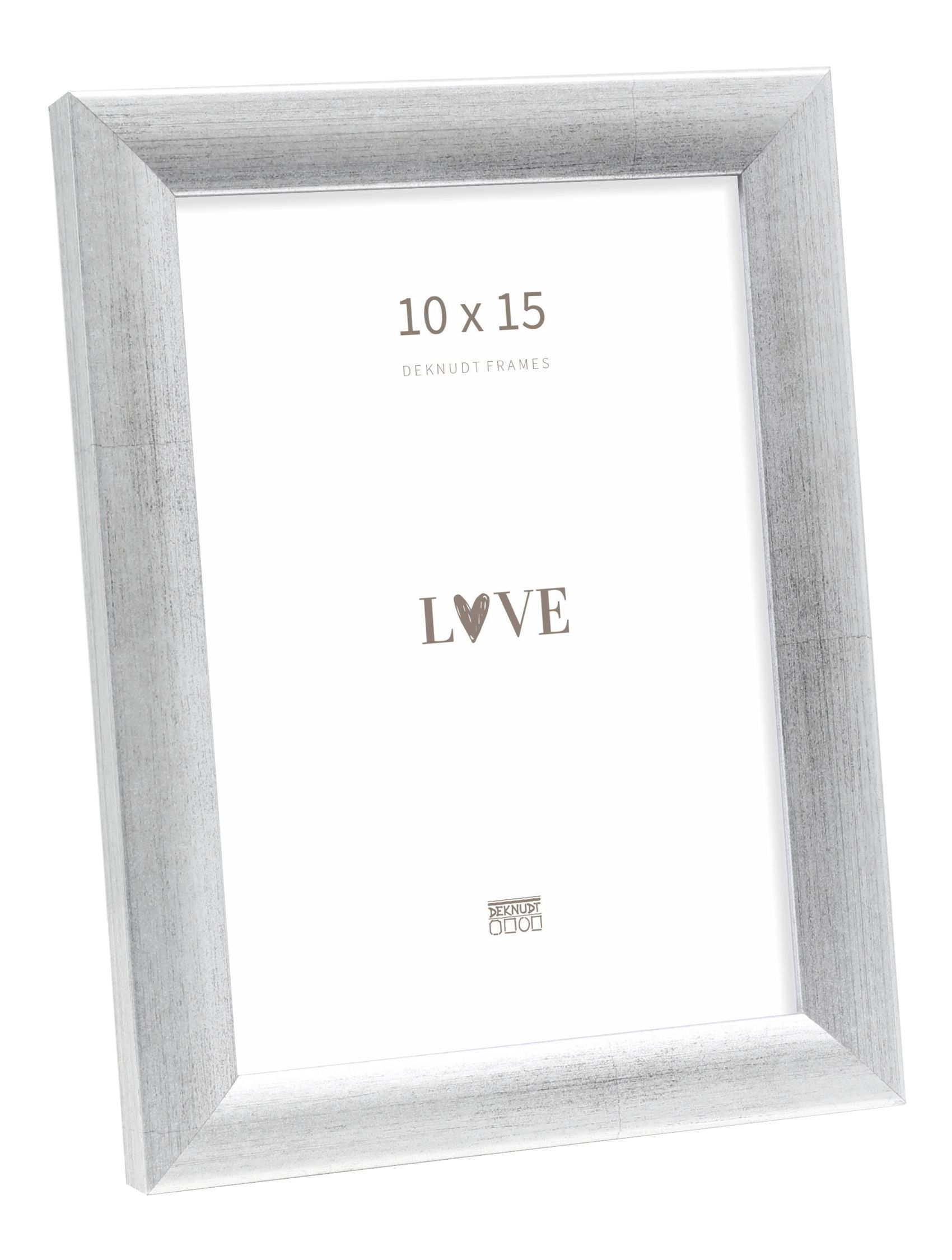 Kader in zilverkleur S54SD3 